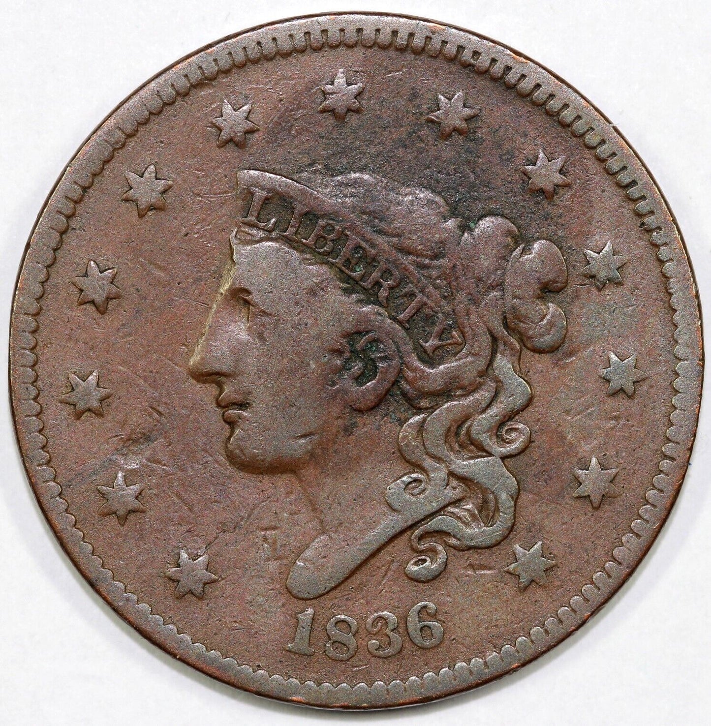 44083405