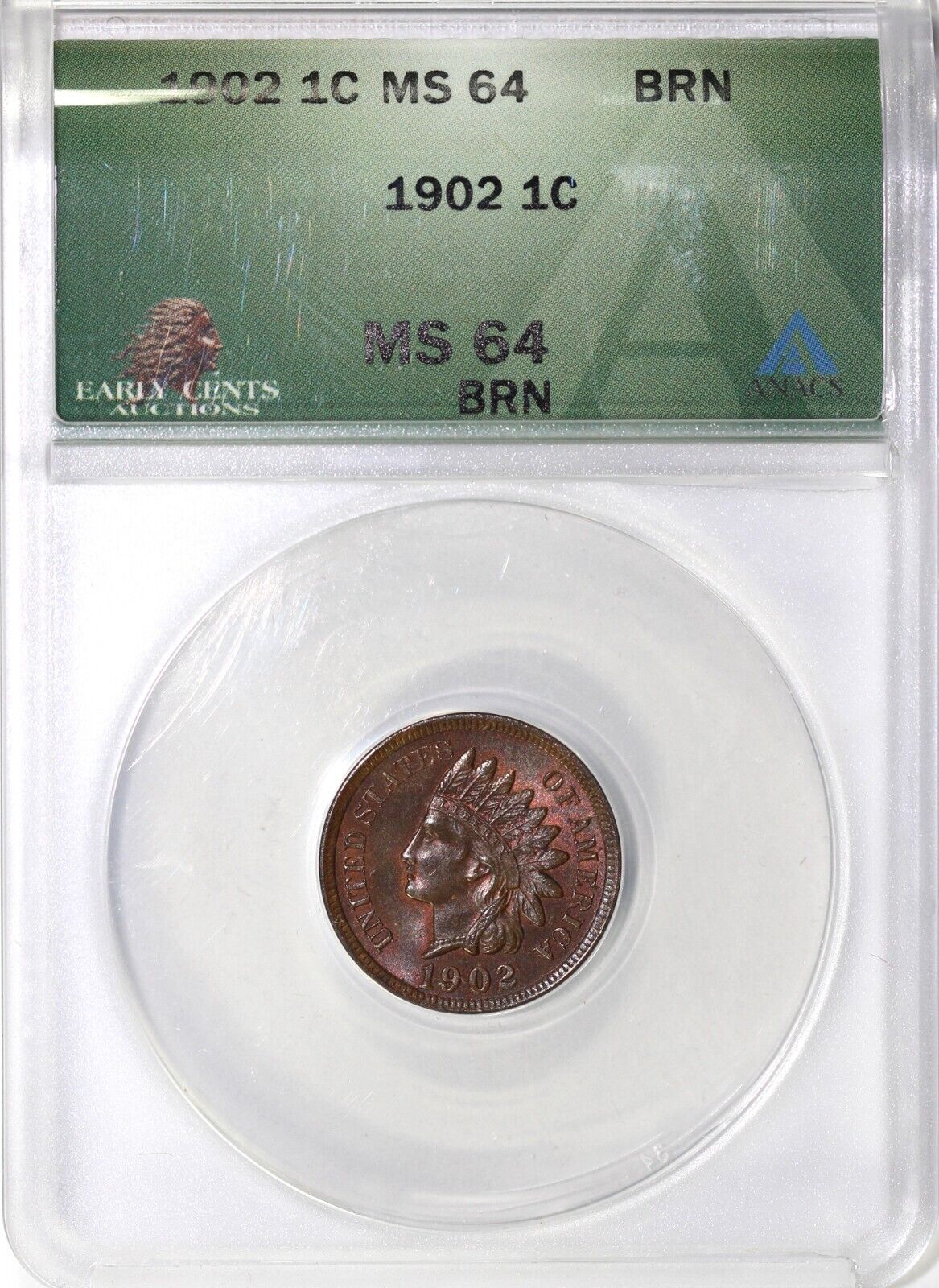 1902 1c Indian Head Cent ANACS MS 64 BN