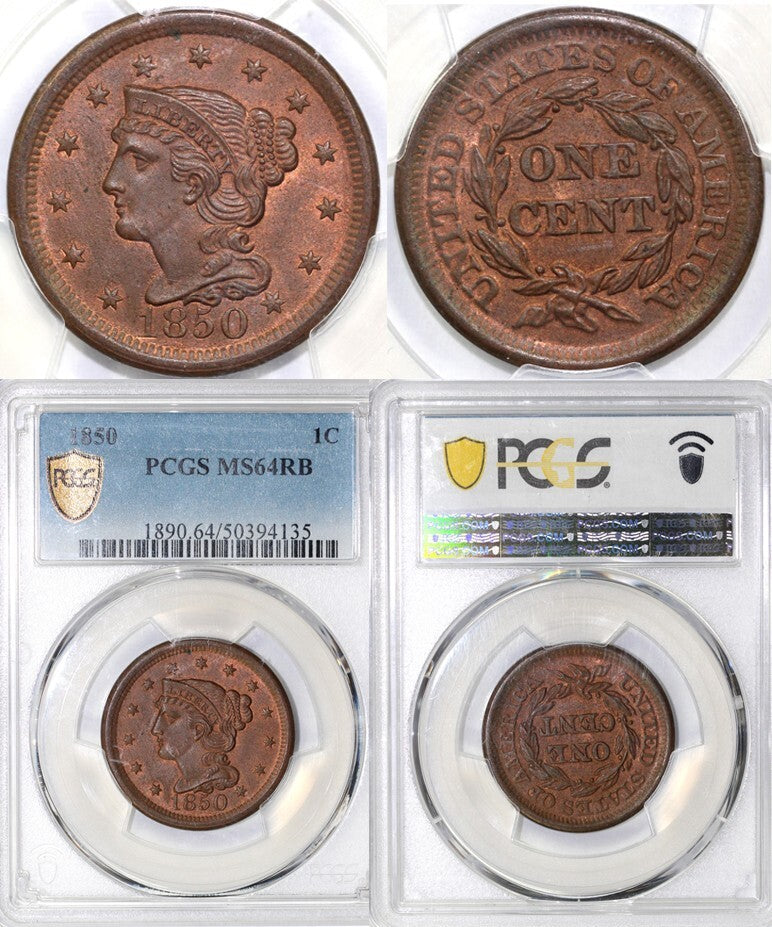 45066429