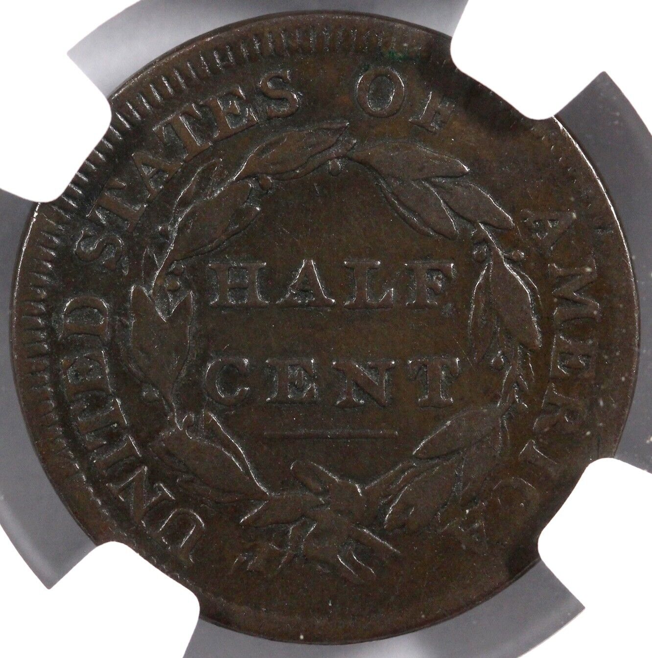 1809 1/2c Classic Head Half Cent NGC Fine Details Burnished