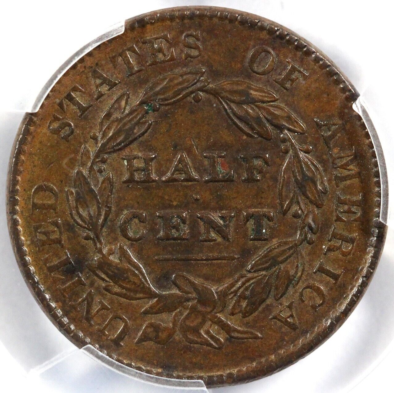 1828 1/2c 13 Stars Classic Head Half Cent PCGS AU 58