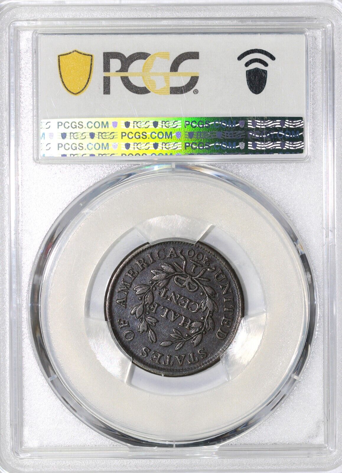 43902982