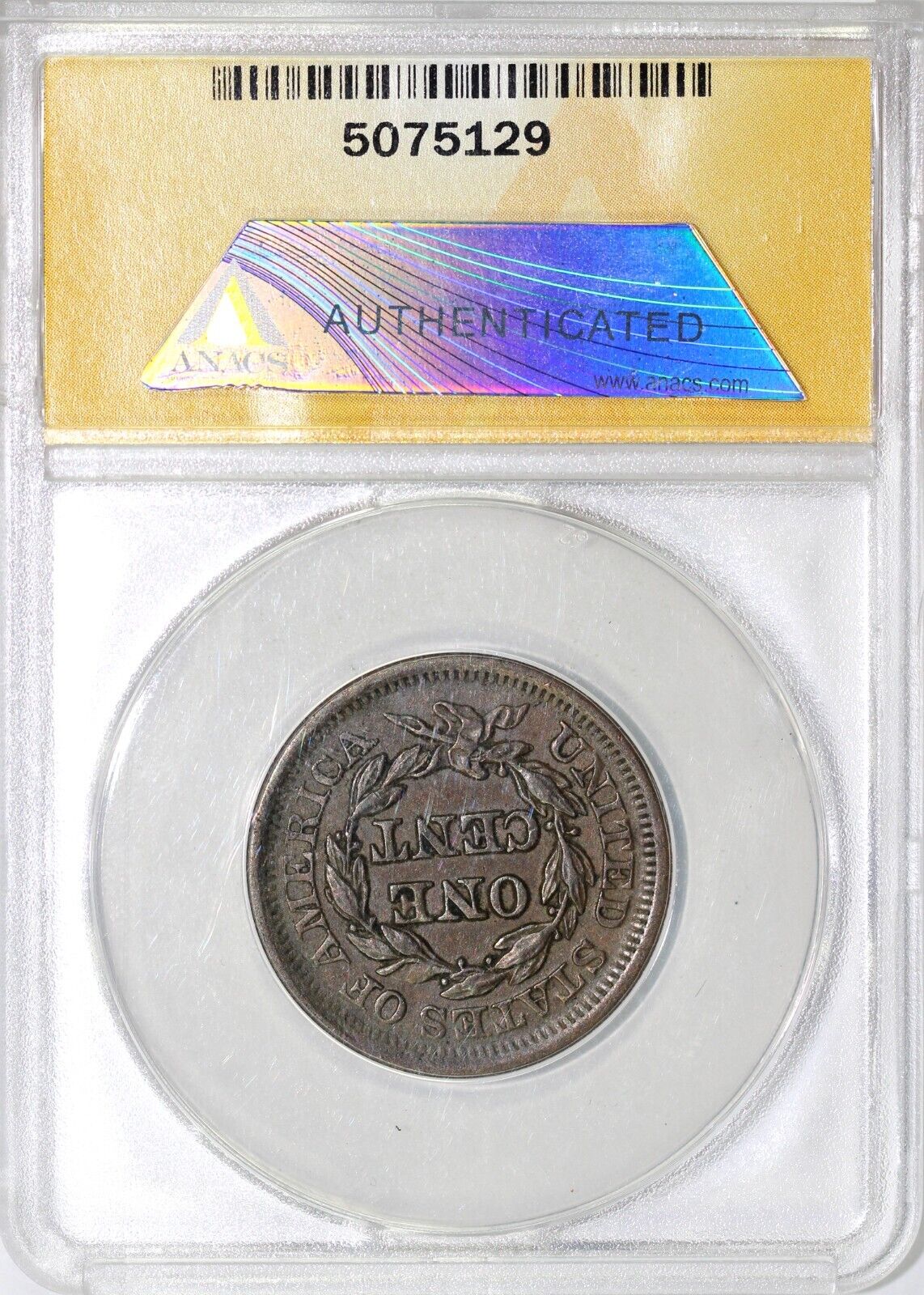 1851 1c N-14 Braided Hair Large Cent ANACS AU 50
