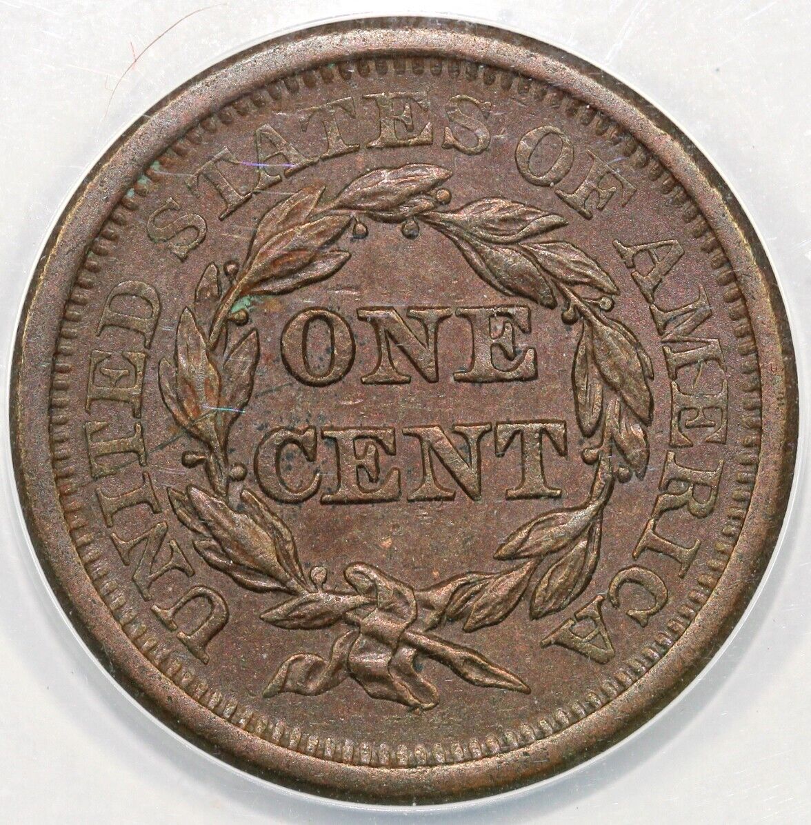 1850 1c N-28 Braided Hair Large Cent ANACS MS 60 Details Scratched