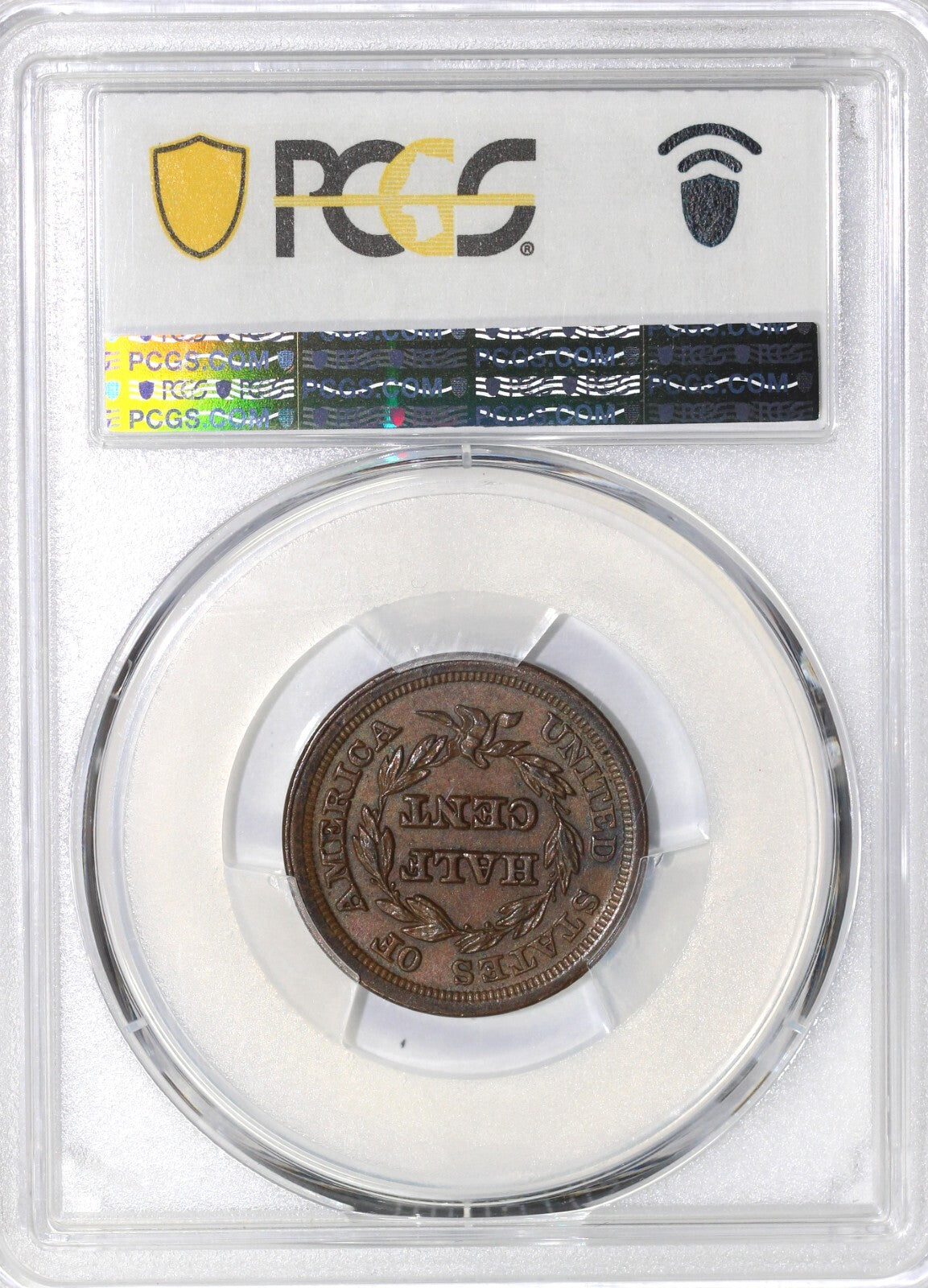 45057784