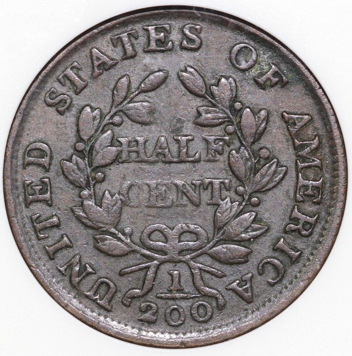 43902981