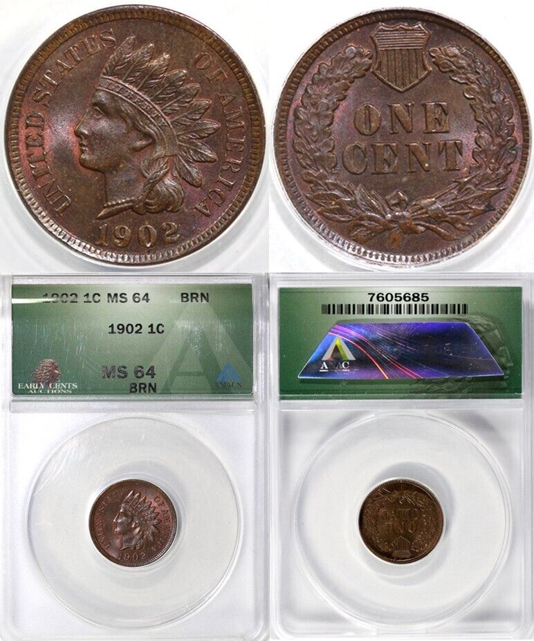 1902 1c Indian Head Cent ANACS MS 64 BN