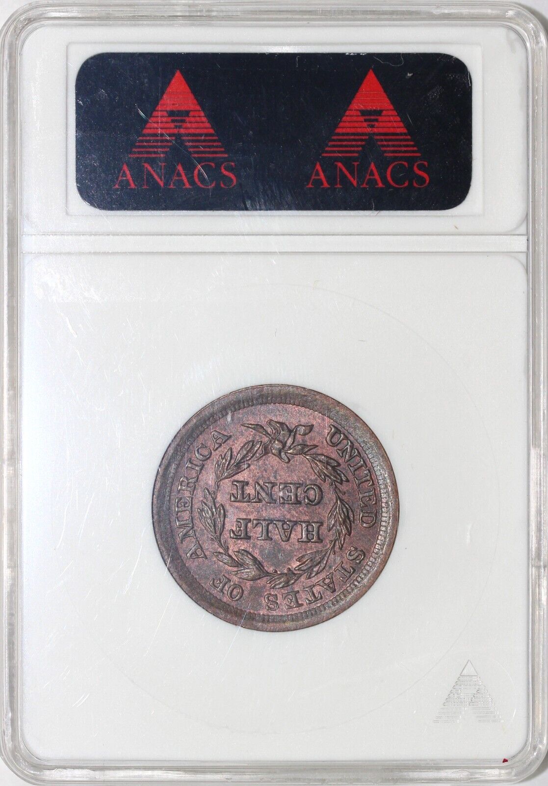 44035587