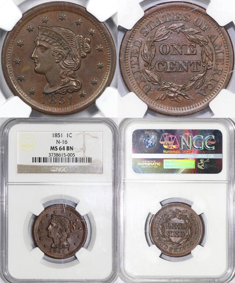 44035620