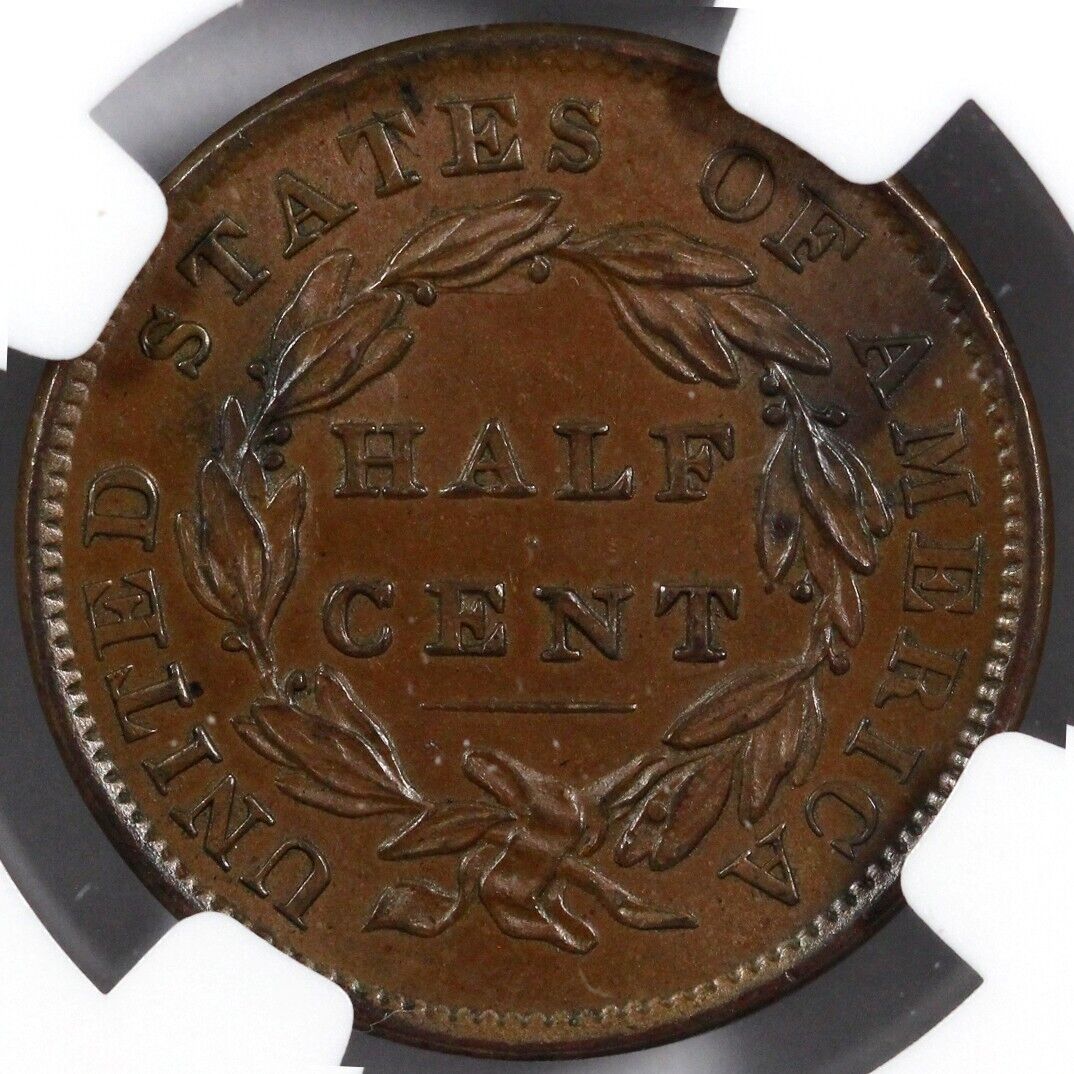 1833 1/2c C-1 Classic Head Half Cent NGC MS 64 BN