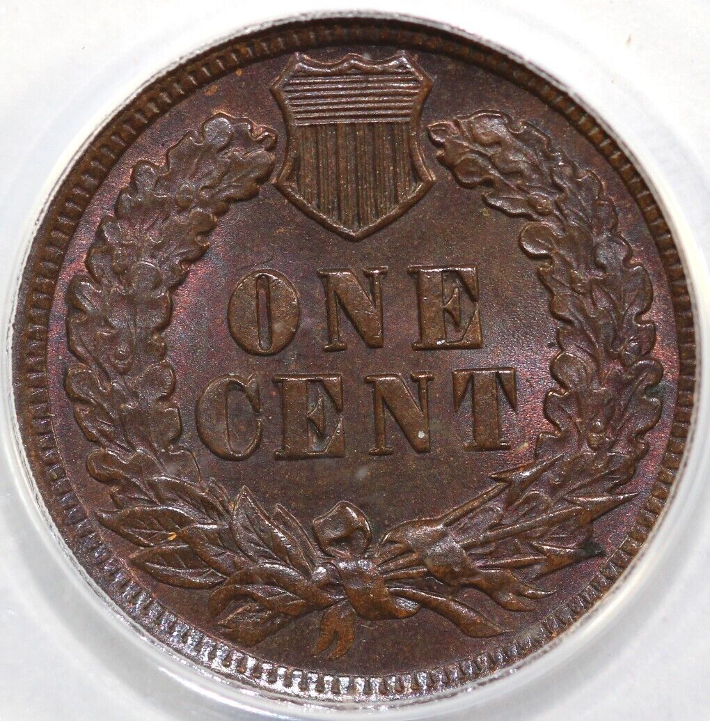1902 1c Indian Head Cent ANACS MS 64 BN