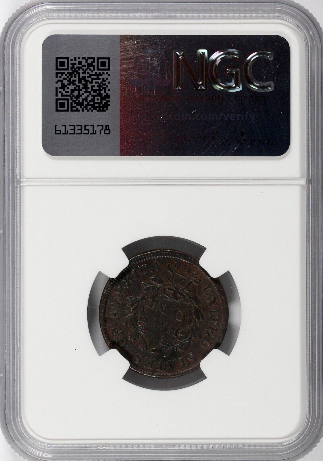 1804 1/2c Draped Bust Half Cent NGC Environmental Damage