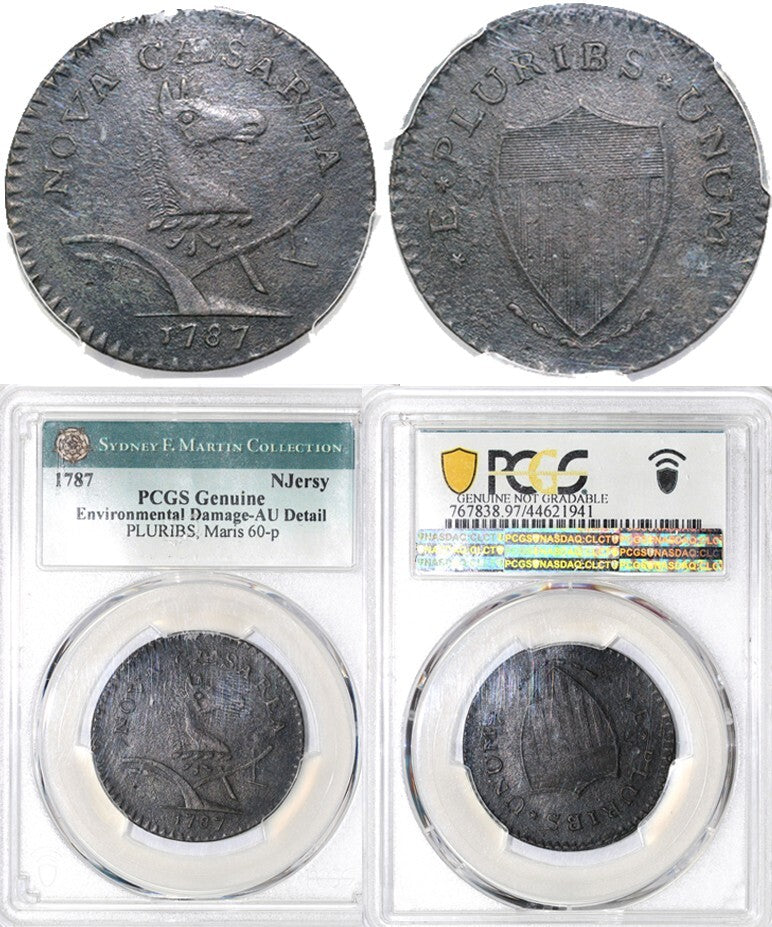45057621