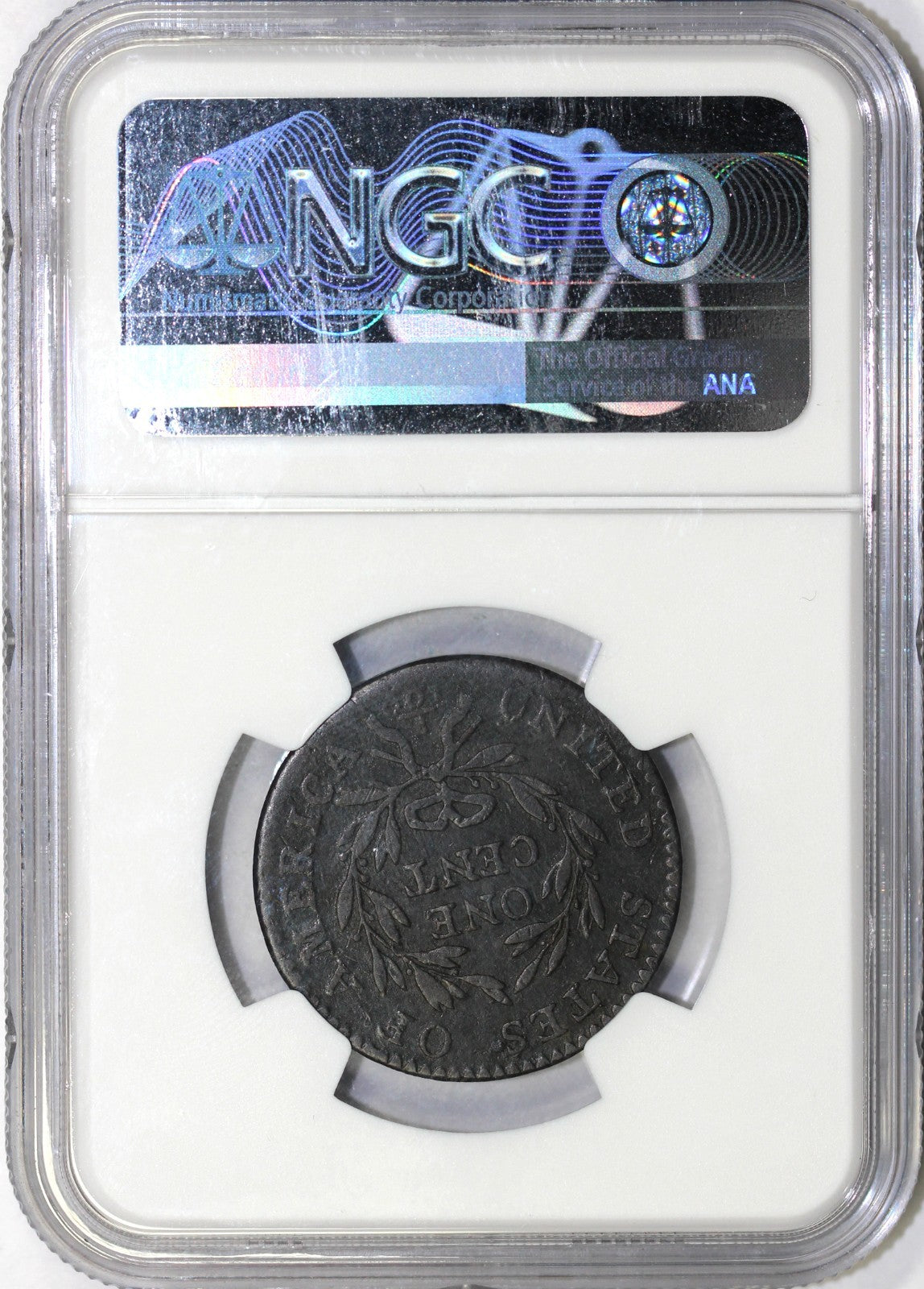 45630923