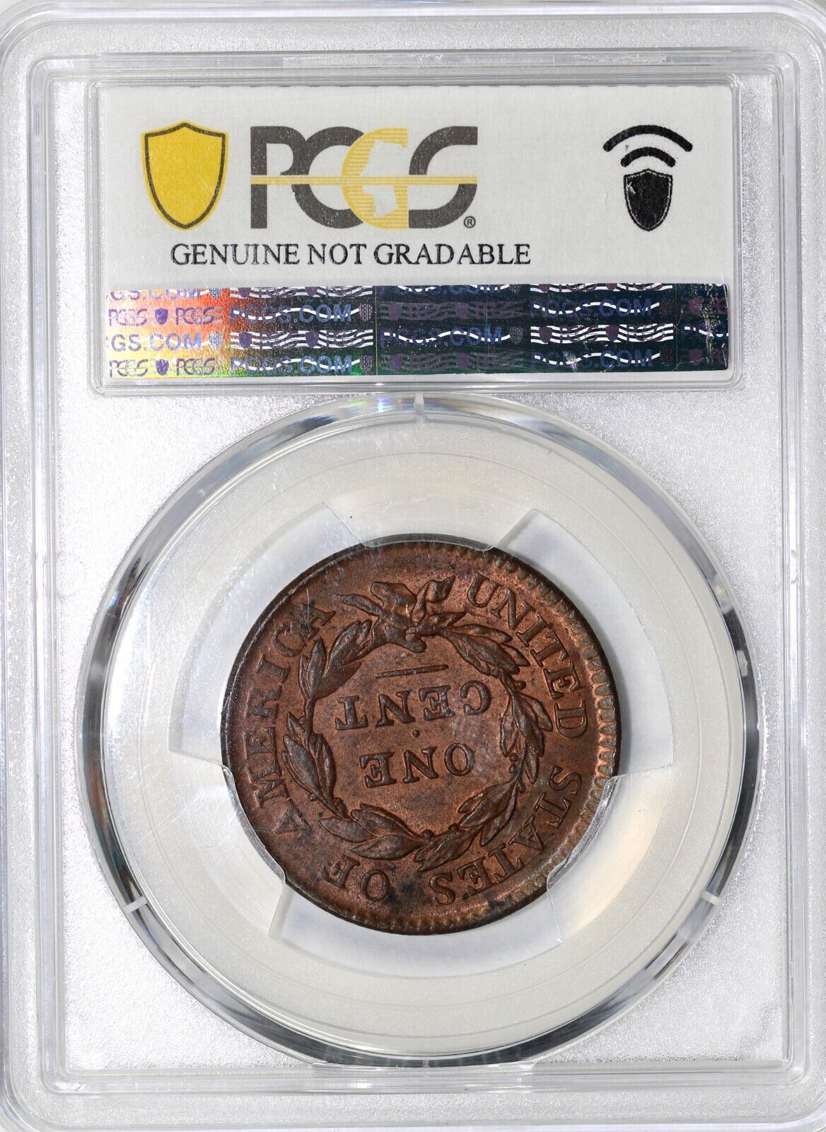 44084057