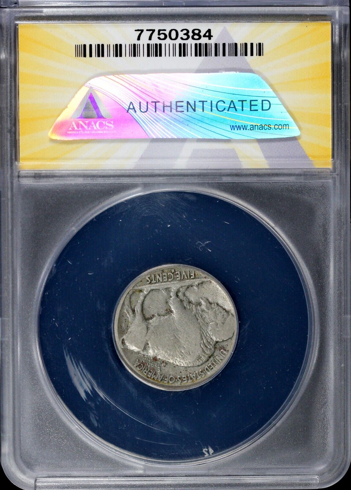 44034635