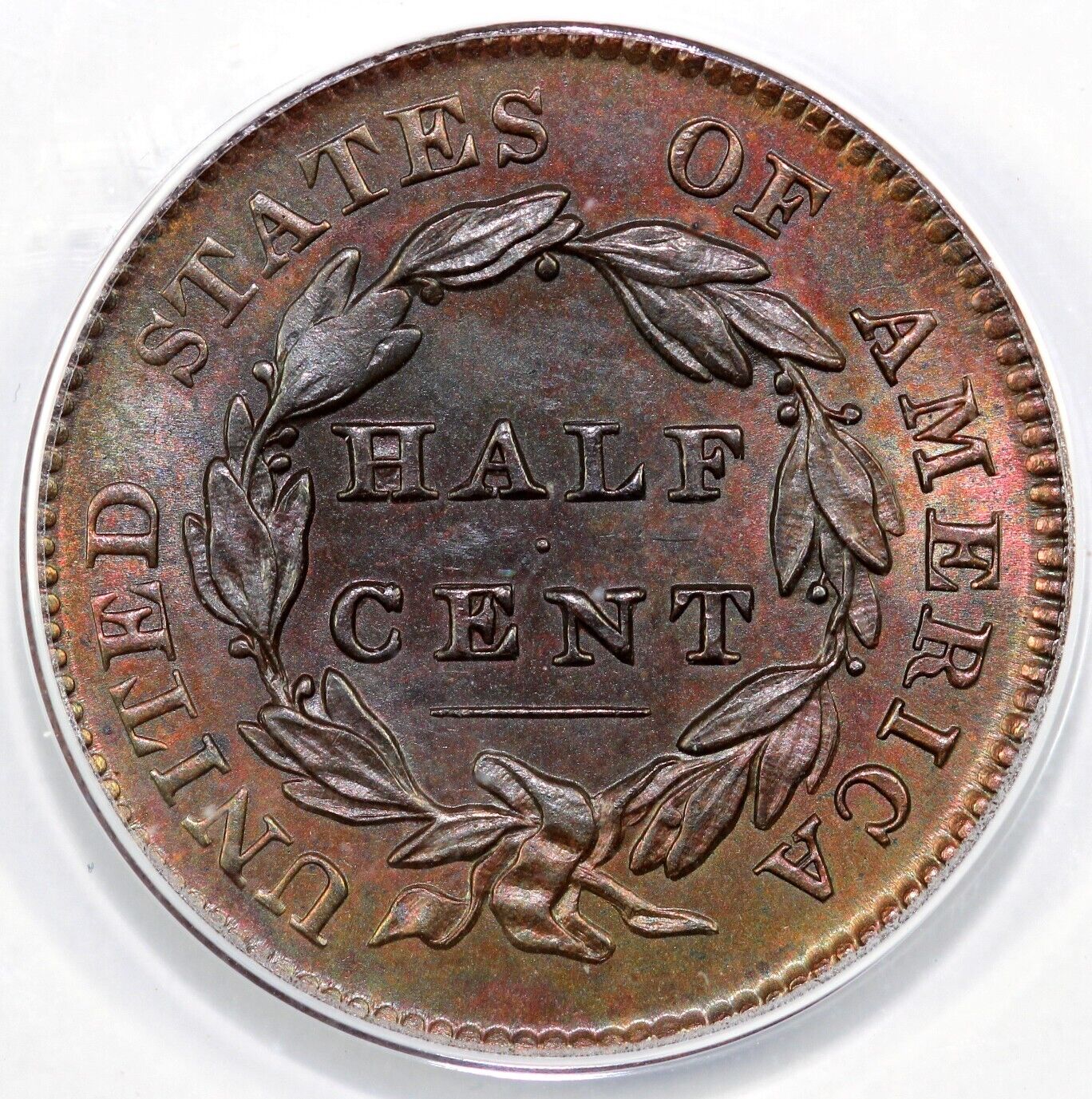 1828 1/2c C-2 12 Stars Classic Head Half Cent ANACS MS 60 Details Recolored