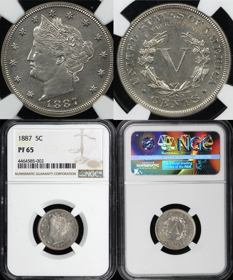 45628913