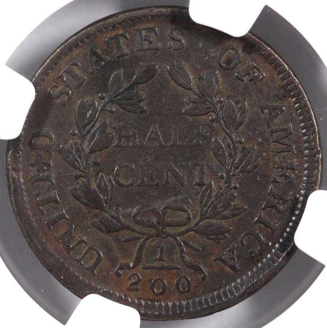 1804 1/2c Draped Bust Half Cent NGC Environmental Damage