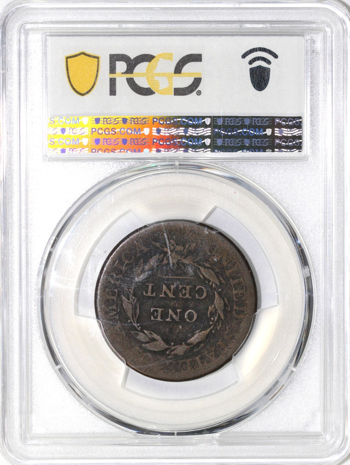 45066263