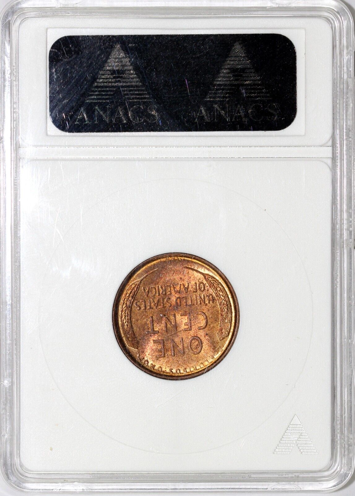1909 1c FS-012.1 Doubled Die Obverse VDB Lincoln Cent ANACS MS 64 RB