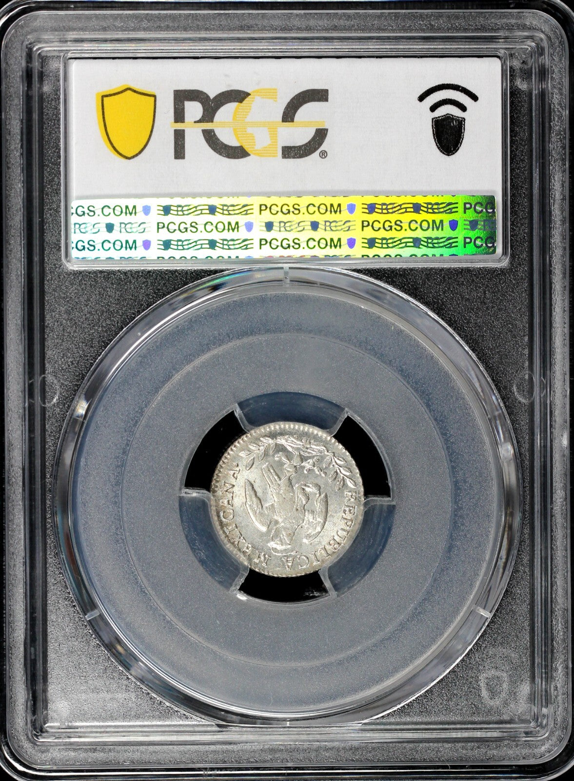 44604076