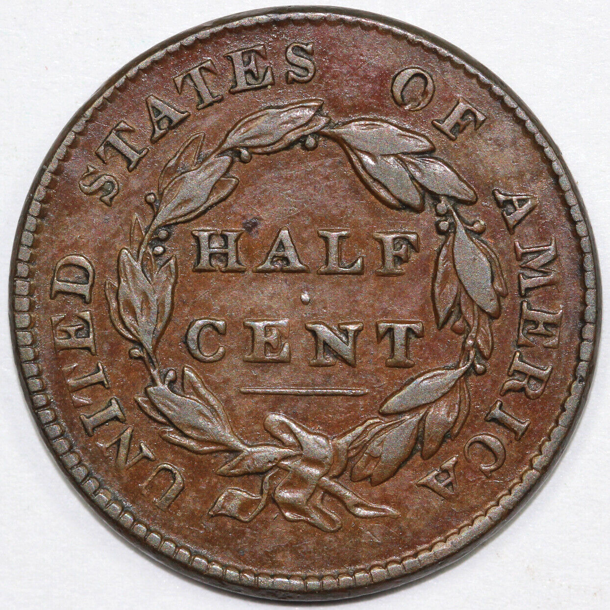 1825 1/2c C-1 Classic Head Half Cent
