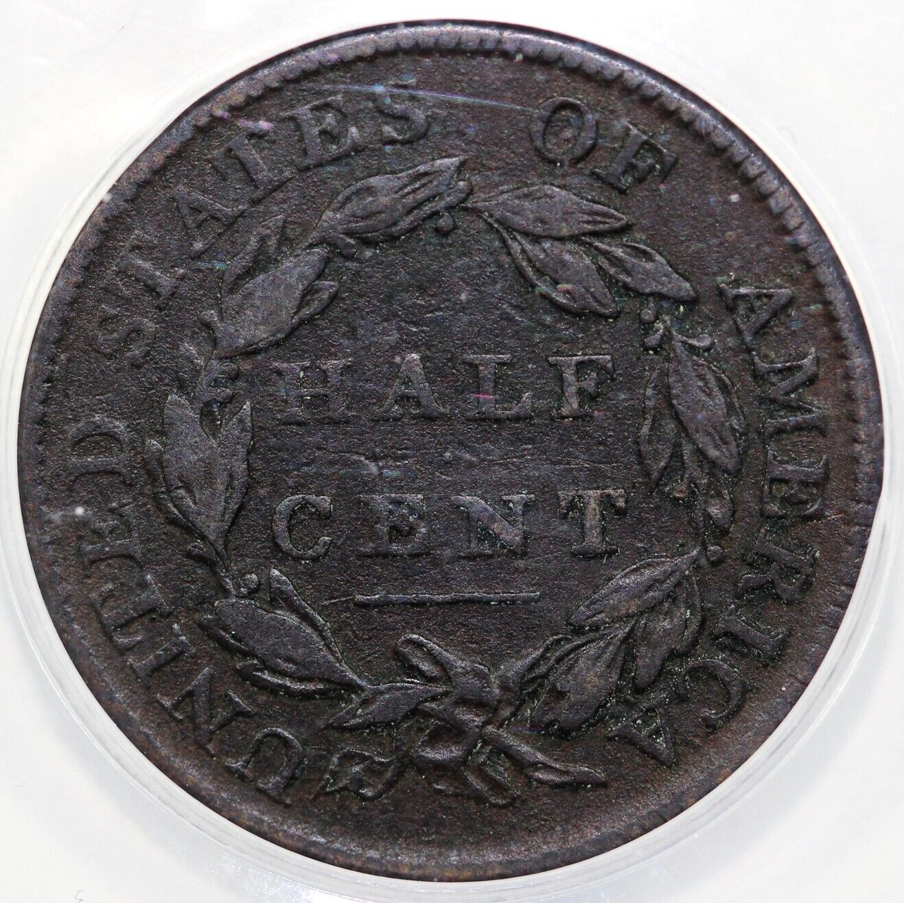 1809 1/2c Classic Head Half Cent ANACS VF 35 Details Corroded