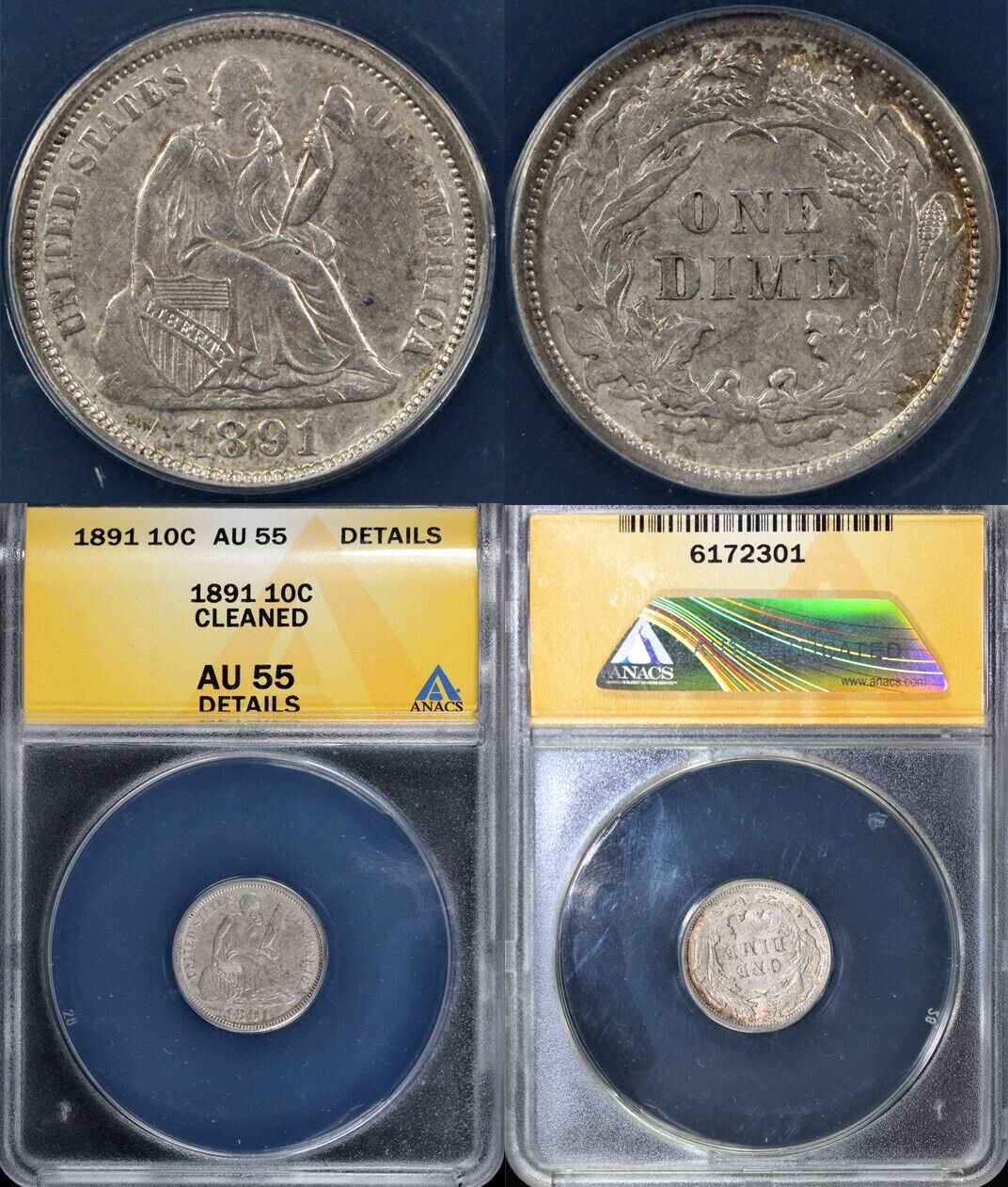 1891 10c Seated Liberty Dime ANACS AU 55 DETAILS CLEANED