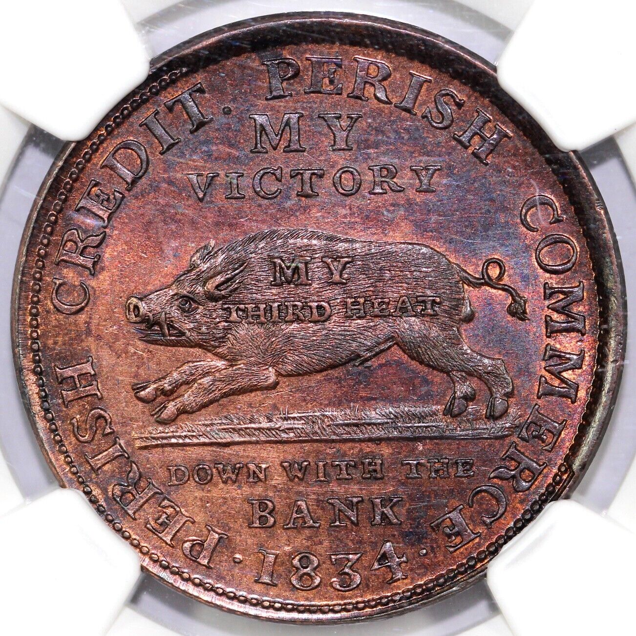 1834 HT-9 Running Boar Hard Times Token NGC MS 64 RB
