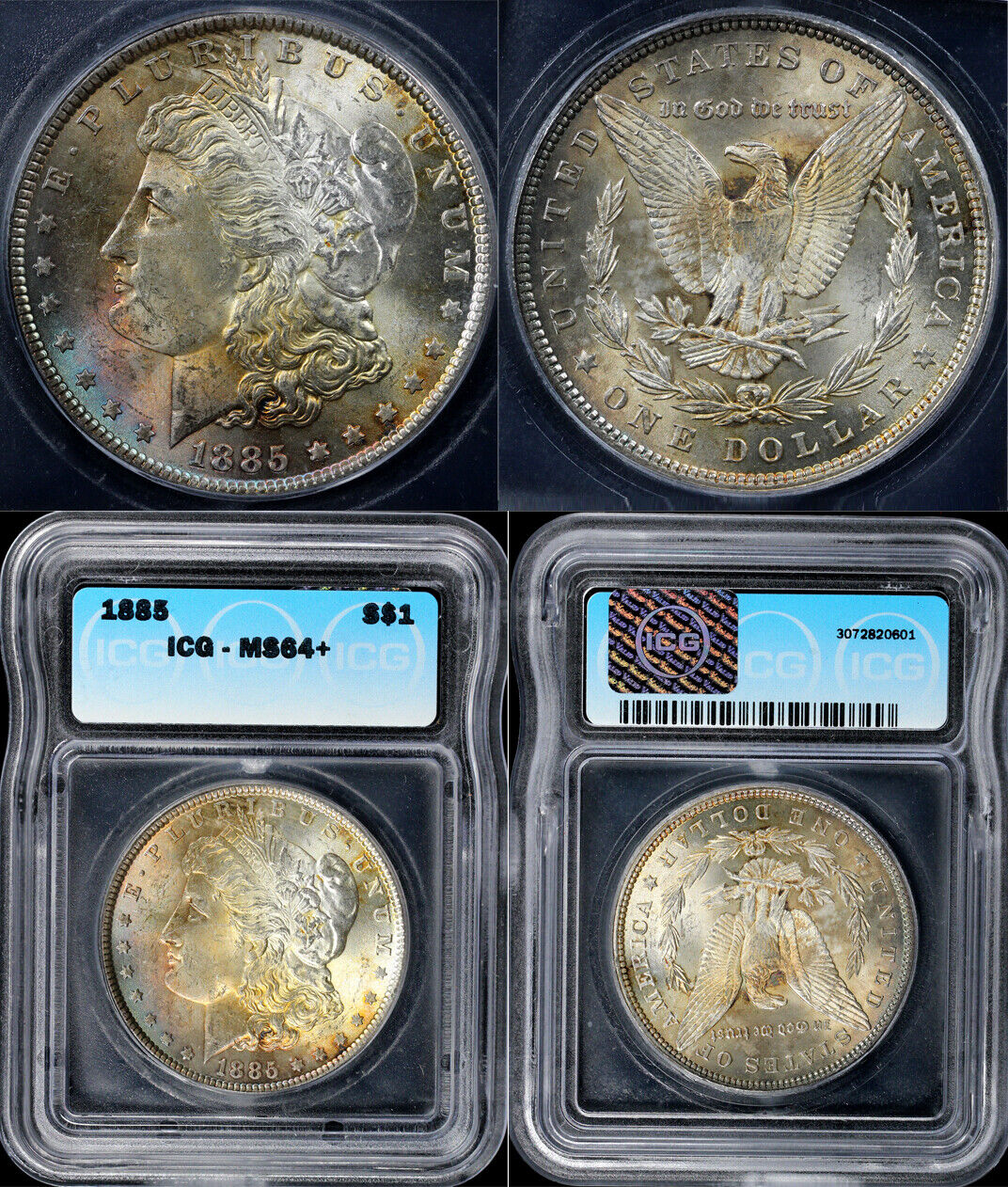 1885 $1 Morgan Dollar ICG MS 64+ *Color*