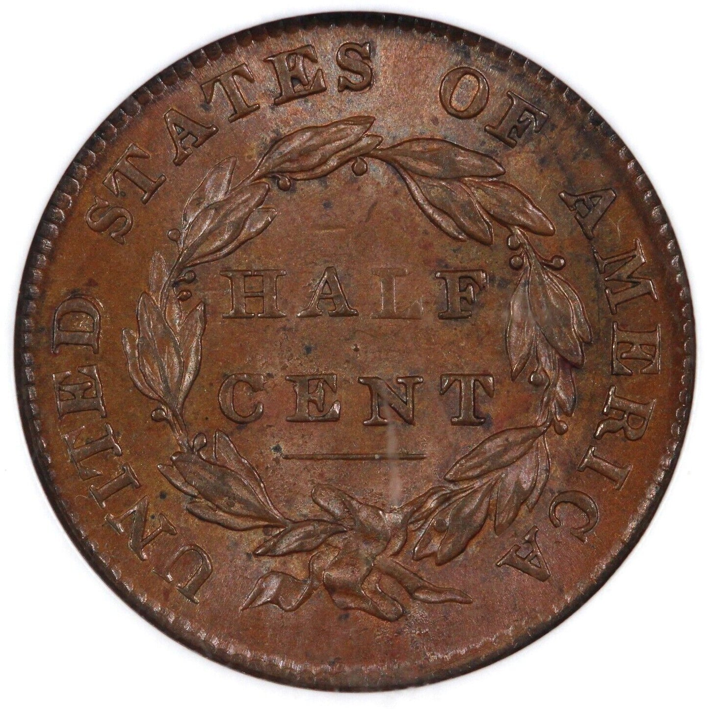 1832 1/2c C-3 Classic Head Half Cent NGC MS 63 BN