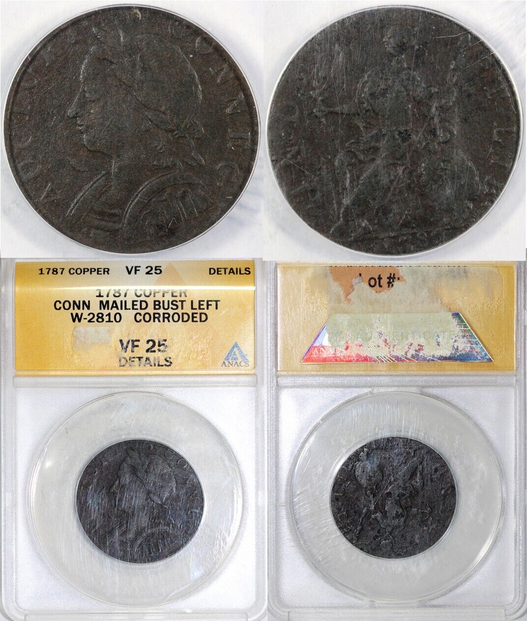 1787 1/2p W-2810 Connecticut Mailed Bust Left Colonial ANACS VF 25 Details