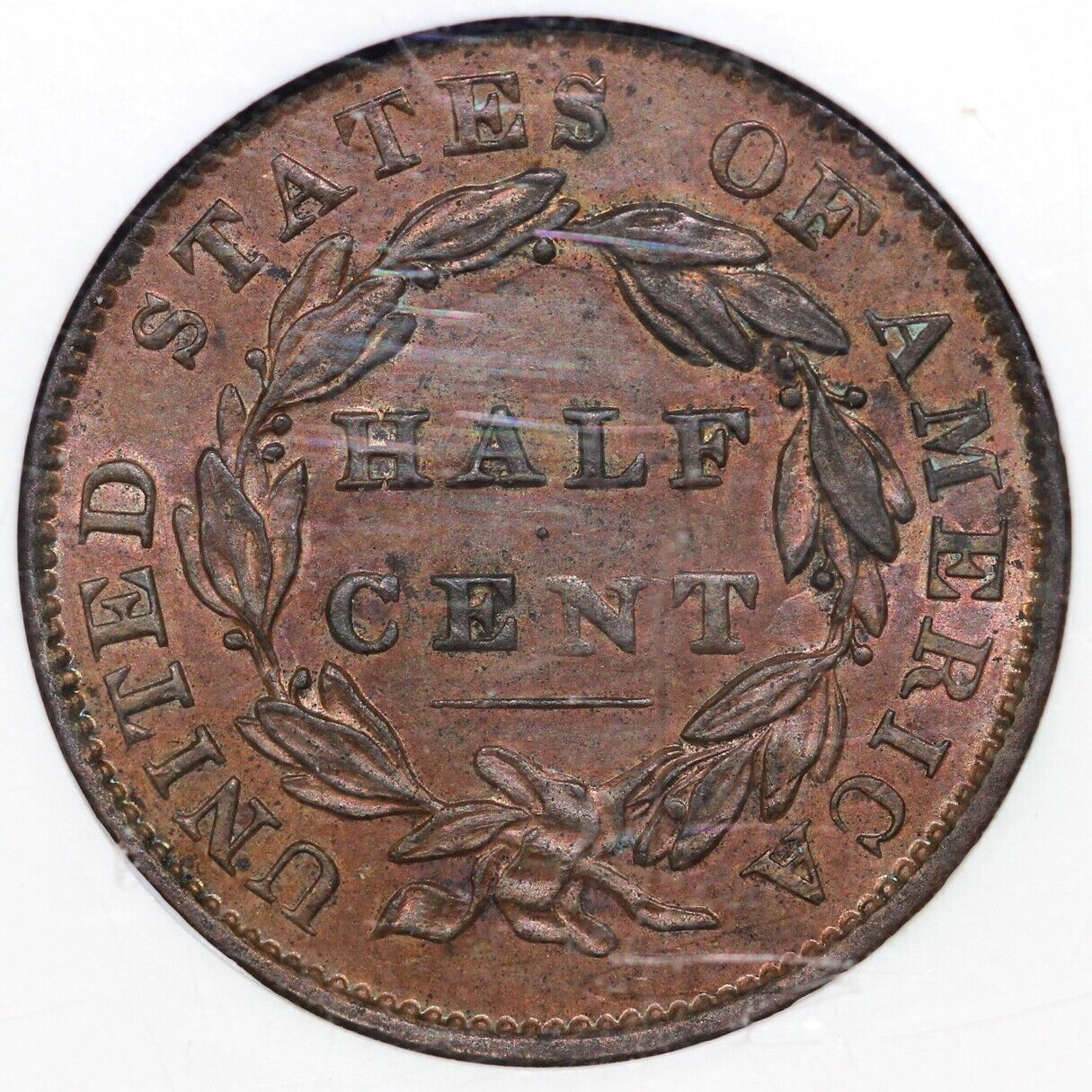 1833 1/2c C-1 Classic Head Half Cent NGC MS 61 BN