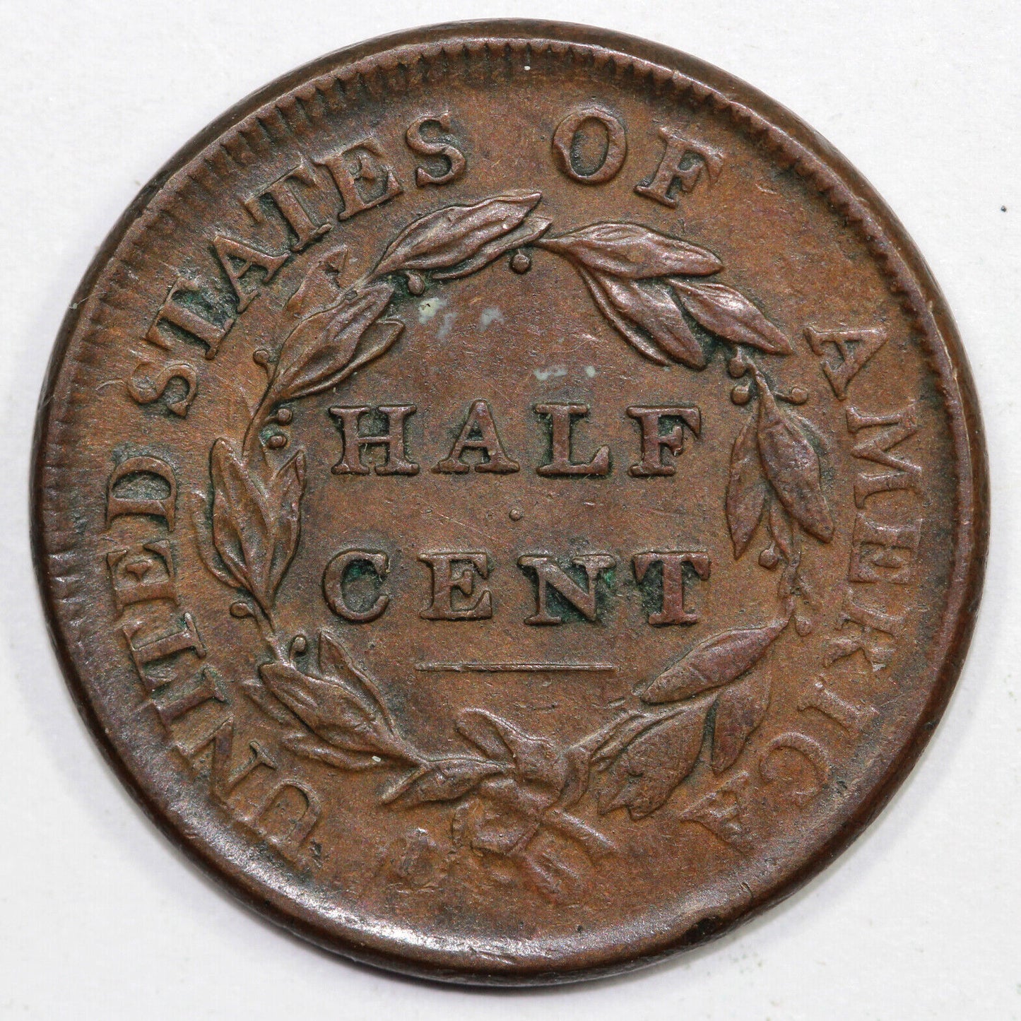 1809 1/2c C-4 Ciricle in 0 Classic Head Half Cent