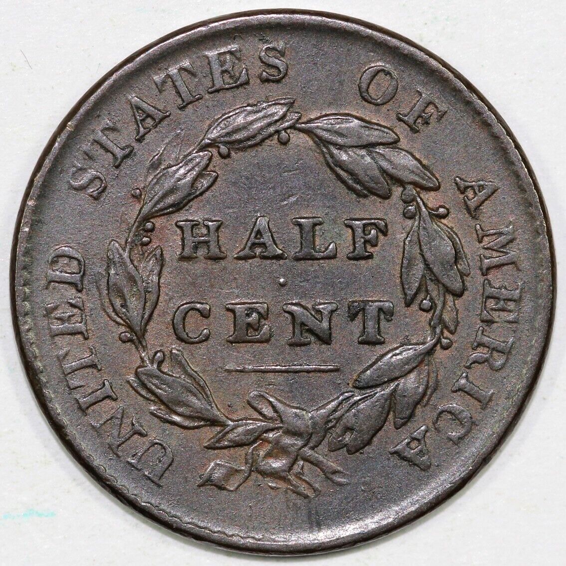 1825 1/2c C-2 Classic Head Half Cent