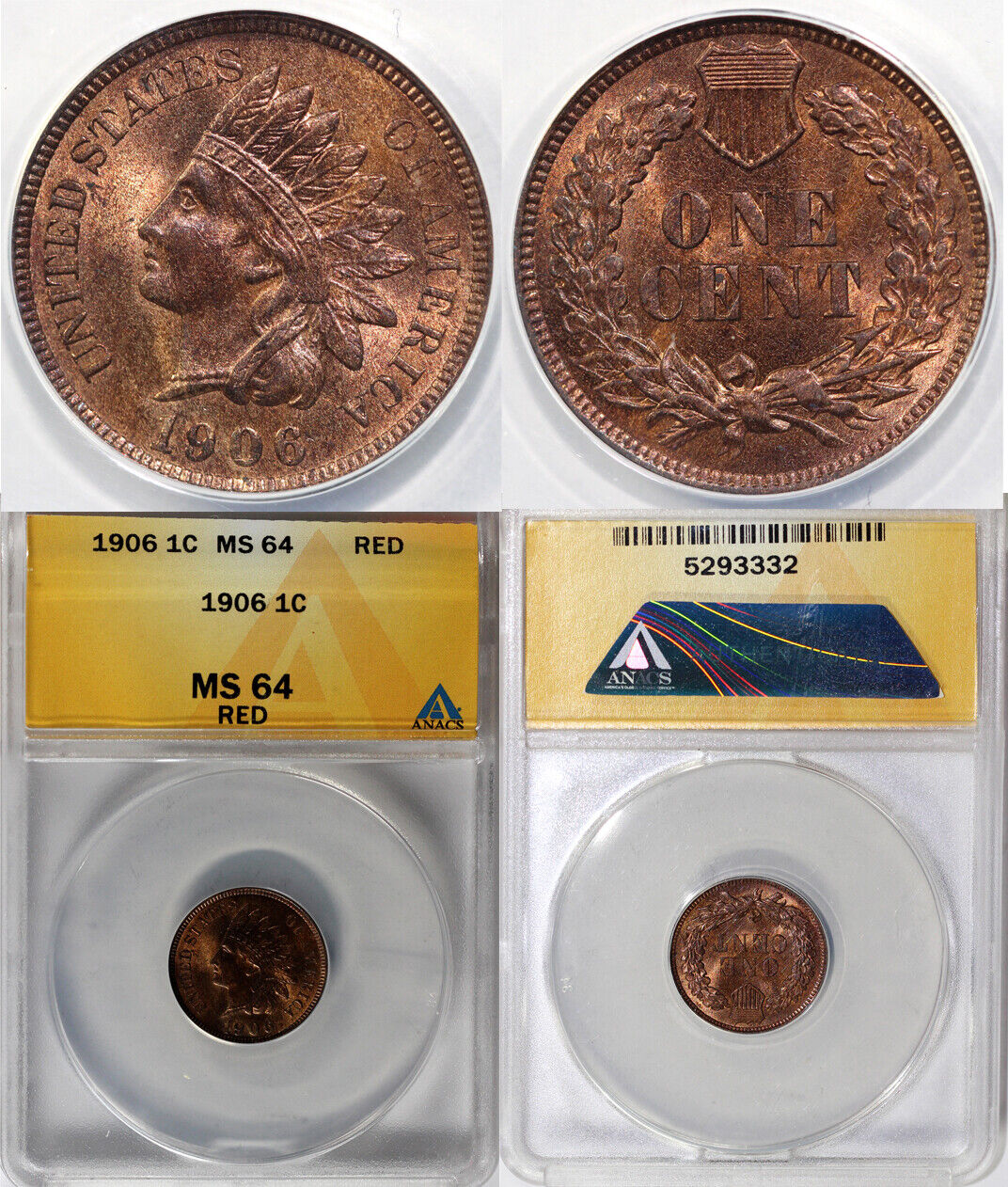 1906 1c Indian Head Cent ANACS MS 64 RED