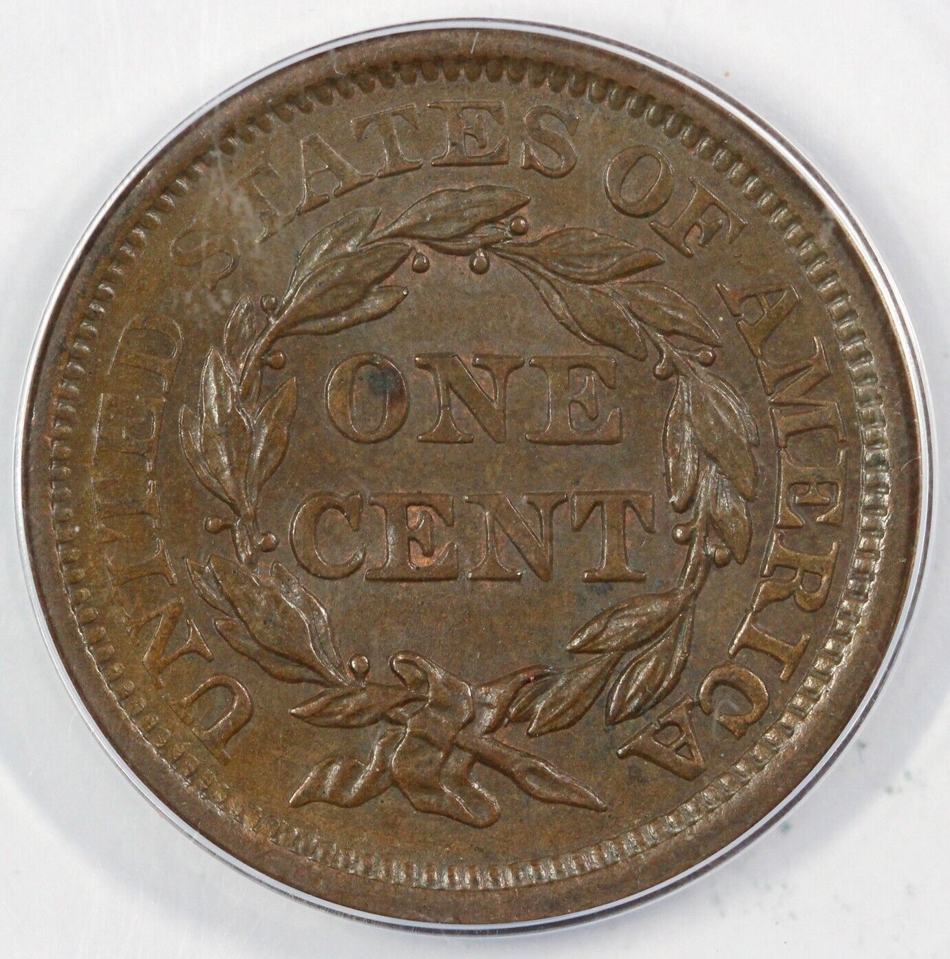 1856 1c Slanted 5 Braided Hair Large Cent ANACS MS 61 BN