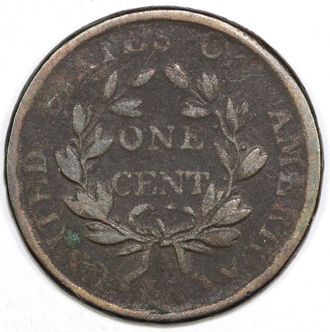 45306036