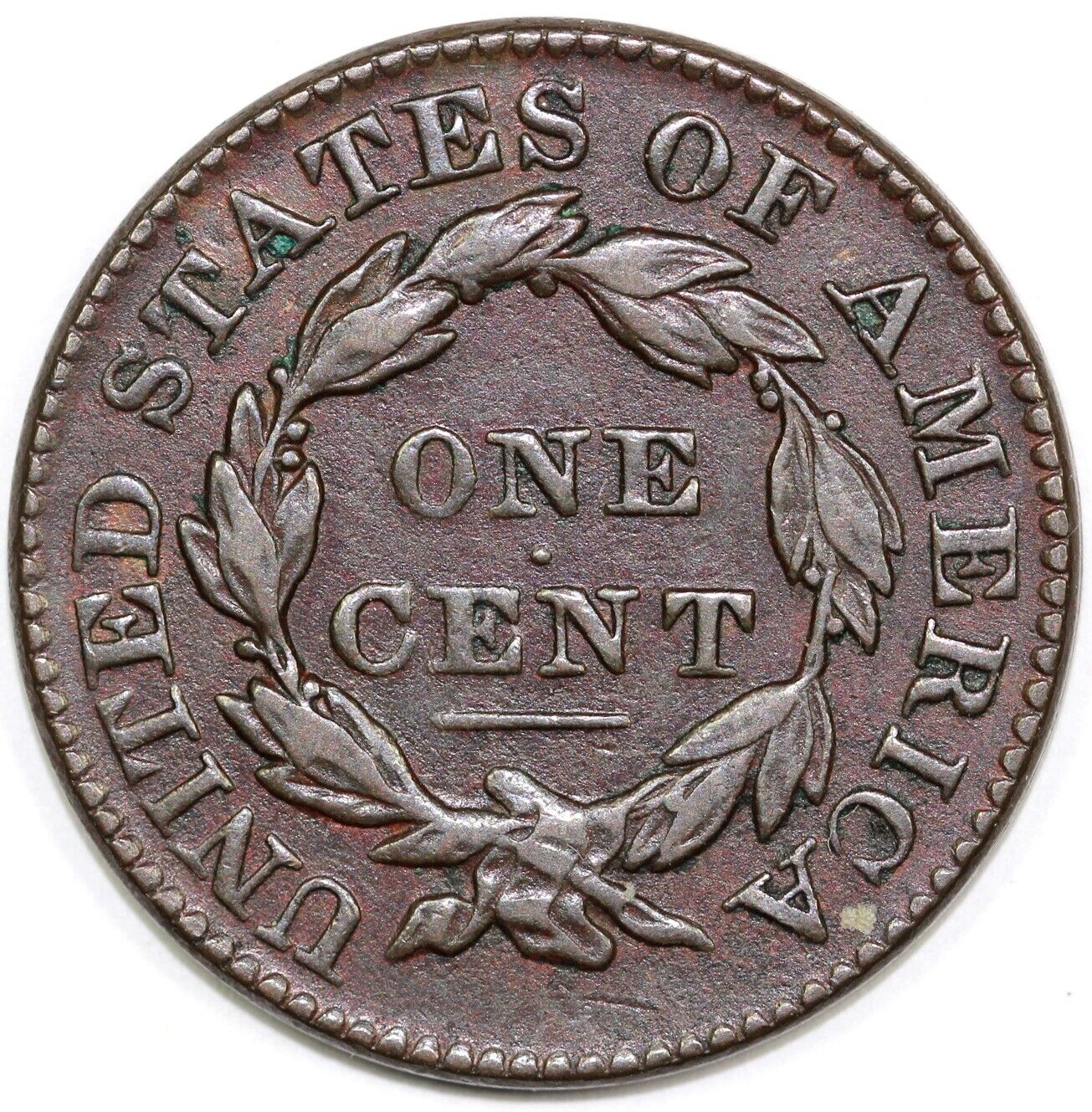 44520197