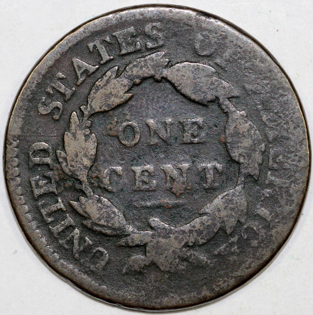 47886913
