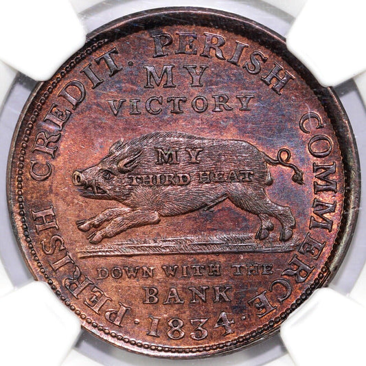 1834 HT-9 Running Boar Hard Times Token NGC MS 64 RB