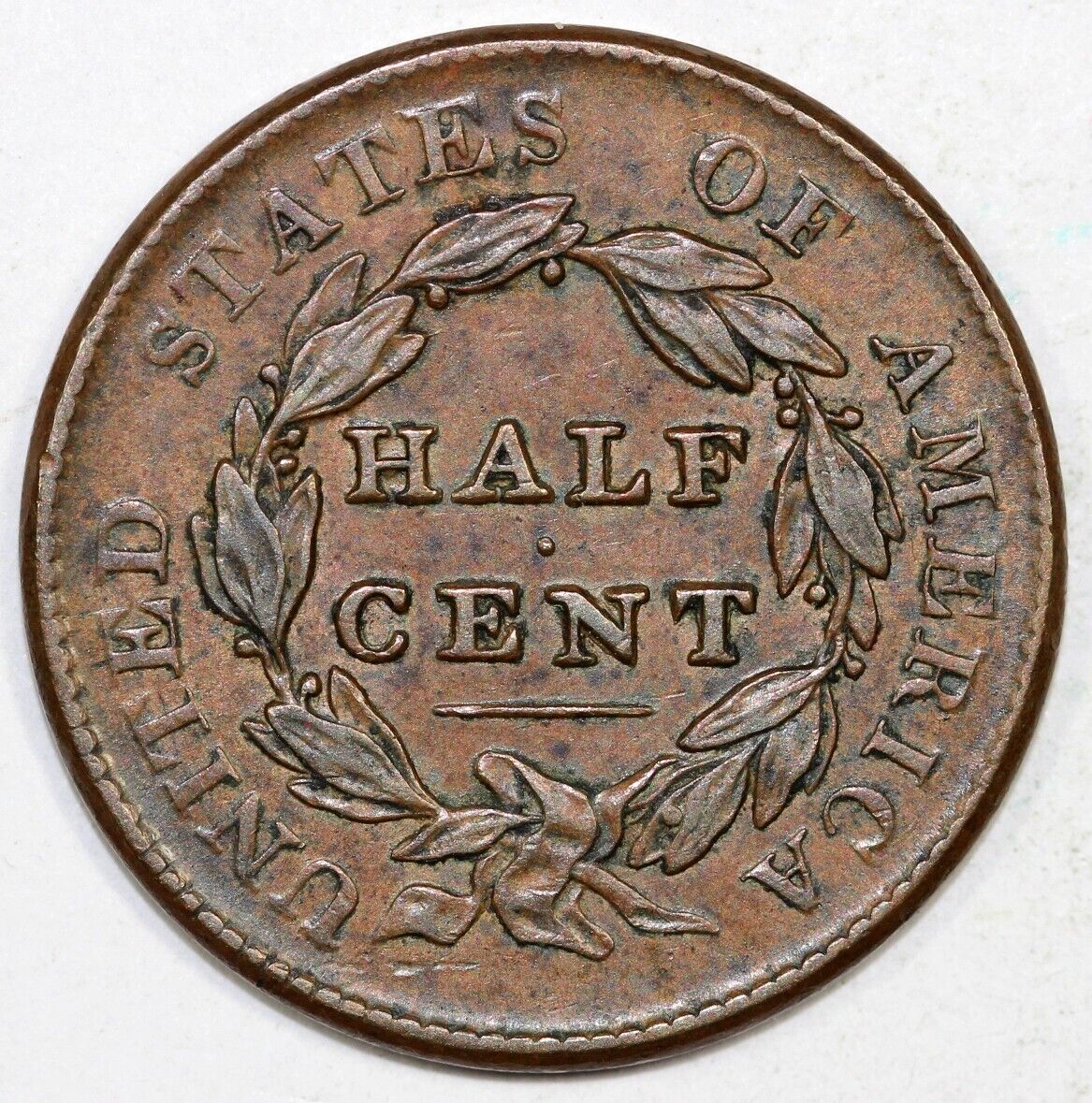 1828 1/2c Classic Head Half Cent