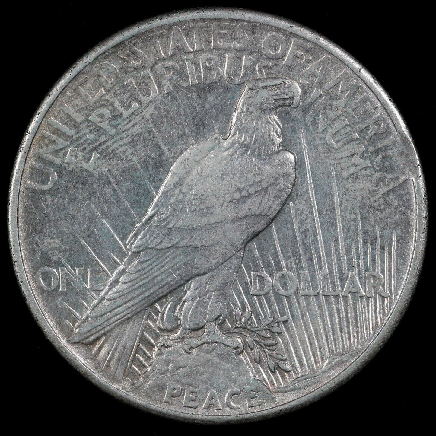 1921 $1 Peace Dollar